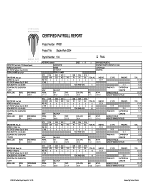 Fillable Payroll Report  Form