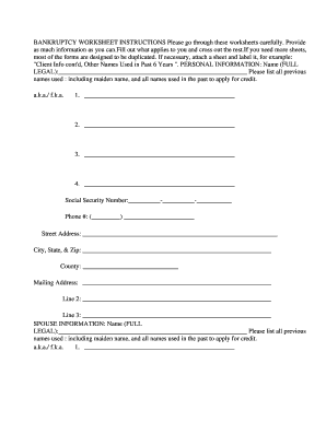 Bankruptcy Worksheet  Form