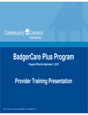 BadgerCare Plus Program  Form