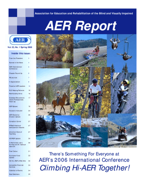 AER Report Aerbvi  Form