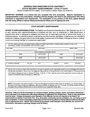 Security Questionnaire Georgia Southwestern State University Gsw  Form