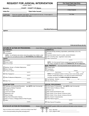 Request for Judicial Intervention Fillable Form