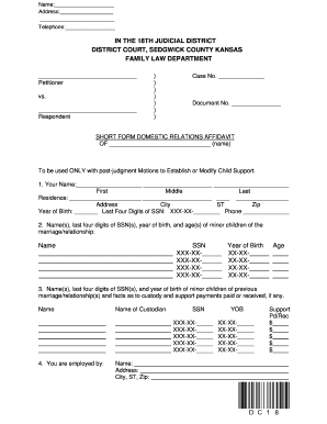 Domestic Relations Affidavit Example Filled Out  Form