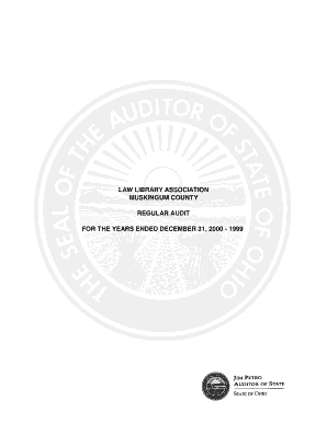 Cash Balance for the Year Ended December 31, Auditor State Oh  Form