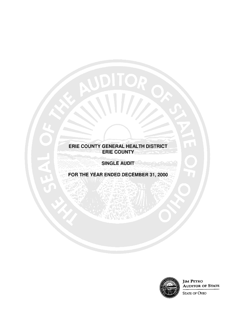Erie County General Health District Erie County Single Audit for the Auditor State Oh  Form