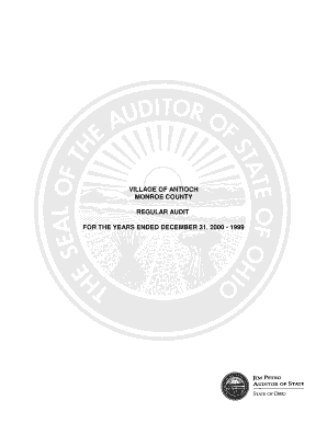 Statement of Fund Cash Balance Fiduciary Fund Type Auditor State Oh  Form