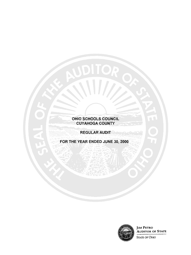 OHIO SCHOOLS COUNCIL Auditor State Oh  Form