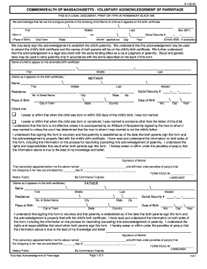 Voluntary Acknowledgment of Parentage Form Massachusetts