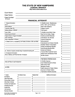 Financial Affidavit Nh  Form