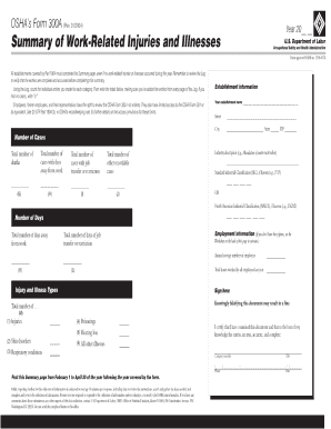 Hawaii Osha 300 Form