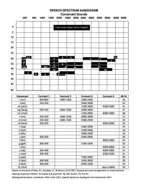 Speech Spectrum Audiogram  Form