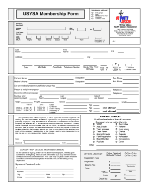 Relay for Life Luminaria Form