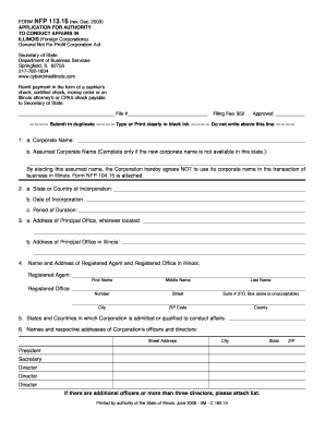 Il Application Affairs Form