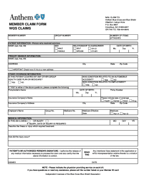 Wgs Claims Processing System  Form