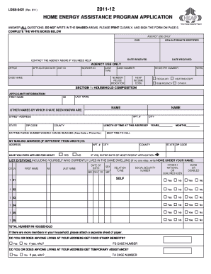  Heap Application Ny PDF 2020-2024