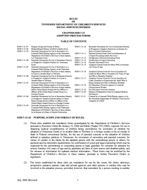 Tn Adoption Process Online Form