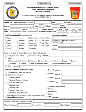  Burn Injury Report on Line Form Minnesota Department of Dps Mn 2015