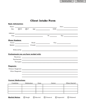 Business Consulting Intake Form PDF