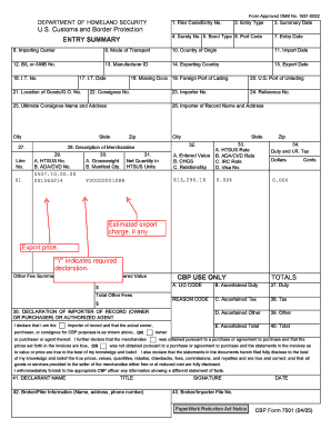 Entry Summary  Form