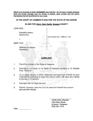 Below is an Example of What a Complaint May Look Like Courts Delaware  Form