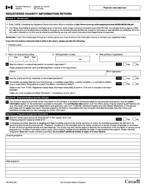 T3010  Form