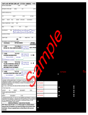 Blank Traffic Ticket PDF  Form