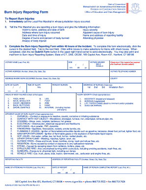  Burn Injury Reporting Form the State of Connecticut Website 2013-2024