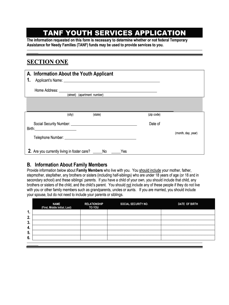 Get and Sign Tanf Youth Form 