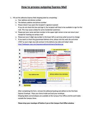 How to Fill Out Priority Mail Express Label  Form