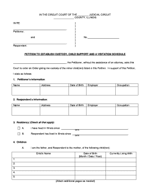 Petition for Visitation Form Illinois