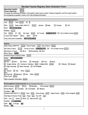 Trauma Registry  Form