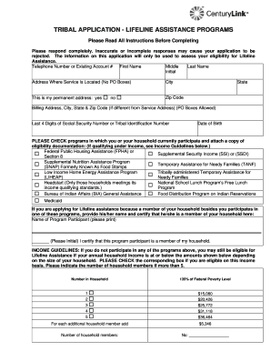 Entouch Wireless Online Application Form