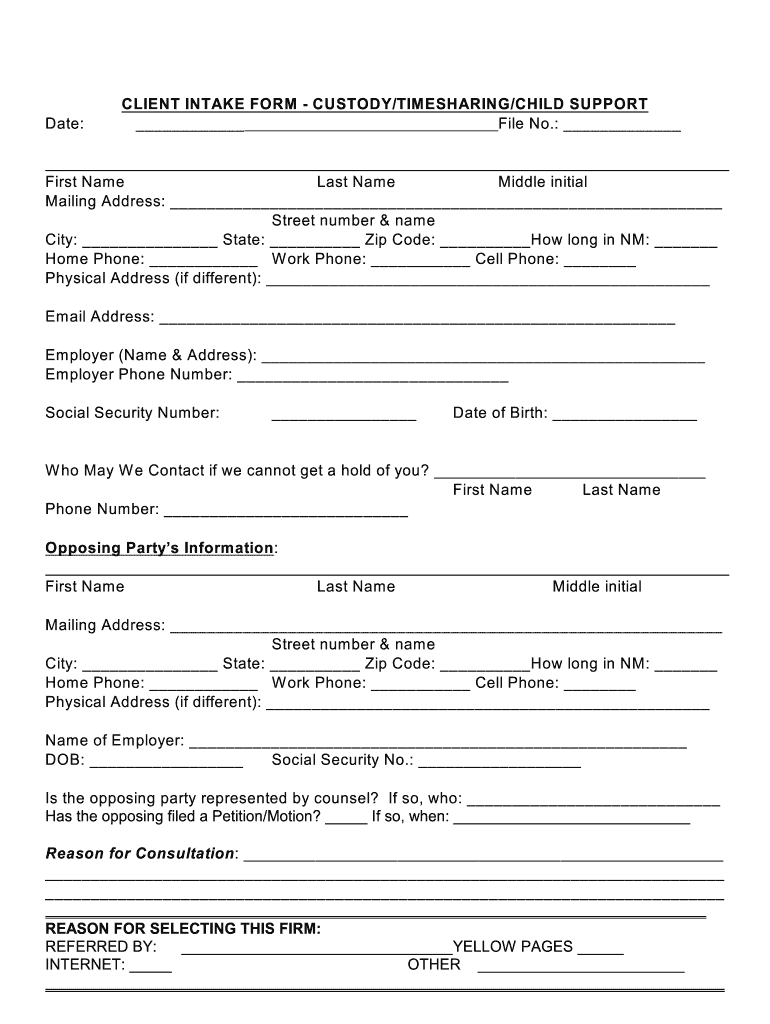Custody Client Intake Sheet Example  Form