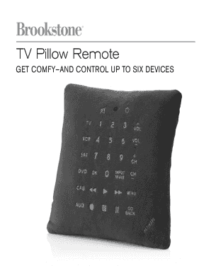 Remote Control Pillow  Form