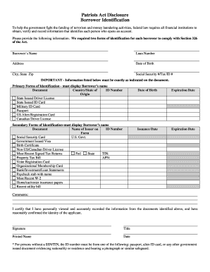 Get and Sign Disclosure Borrower  Form