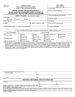 Examples of Form 3160 5