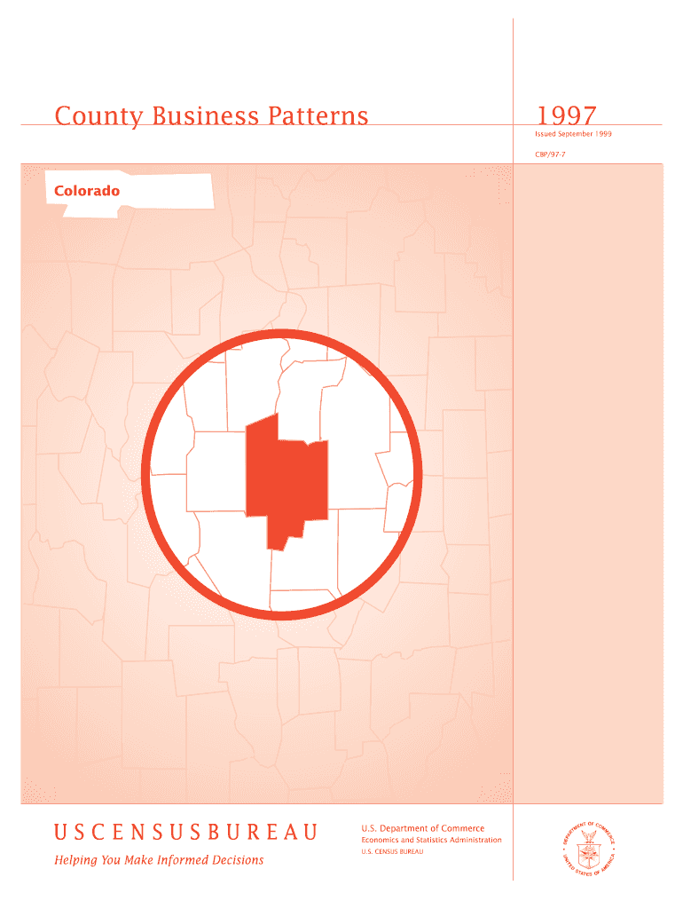 Colorado County Business Patterns Census  Form