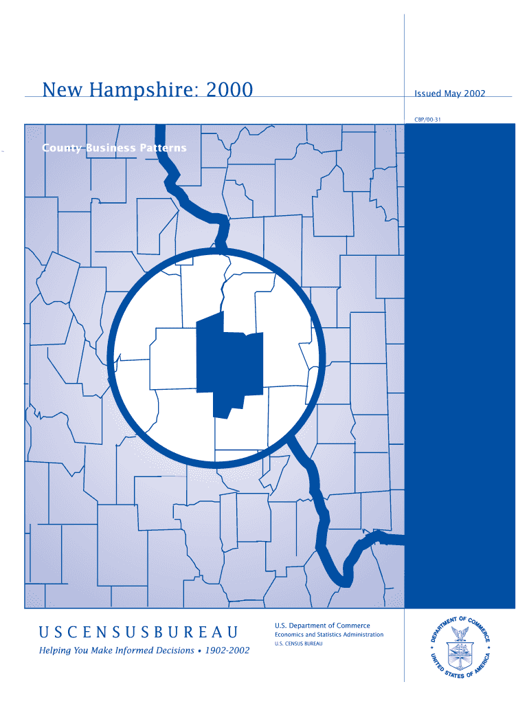 New Hampshire County Business Patterns Census  Form