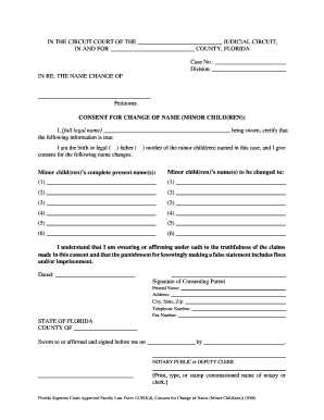 Consent for Change of Name Minor Child Ren Florida  Form