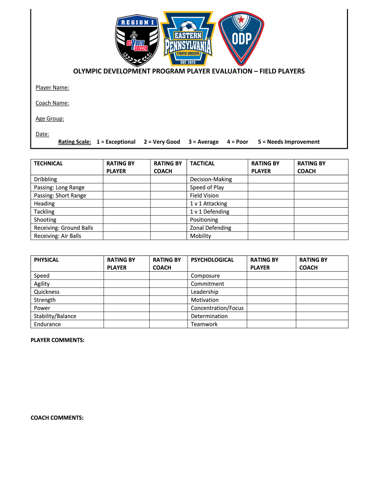 Soccer Evaluation Form