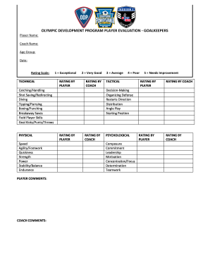 Player Evaluation Odp Form - Fill Out and Sign Printable PDF Template |  signNow