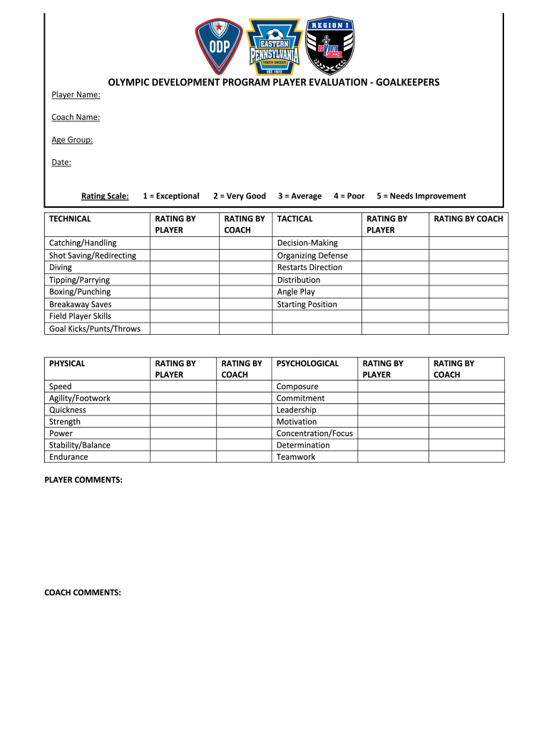 Soccer Player Evaluation Form