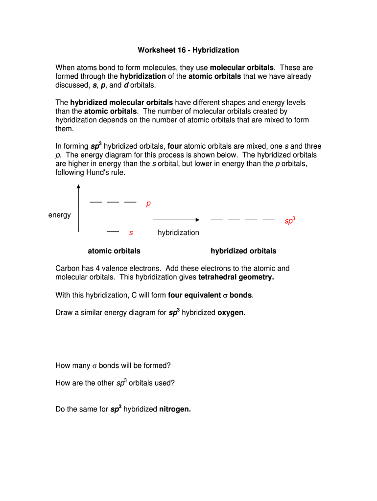 Hybridization Worksheet PDF  Form