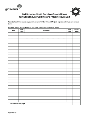 Girl Scout Silver Award Worksheet  Form