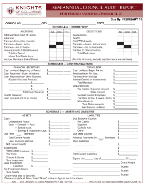 Semi Annual Audit Form