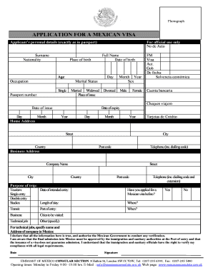 Mexico Visa Application Form Filled Sample