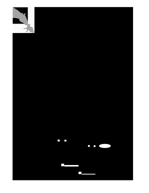 HAYMARKET VETERINARY SERVICE Equine Ambulatory P O Box 1005  Form