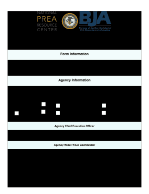 Prea Audit Pre Audit Questionnaire Juvenile Facilities Florida  Form