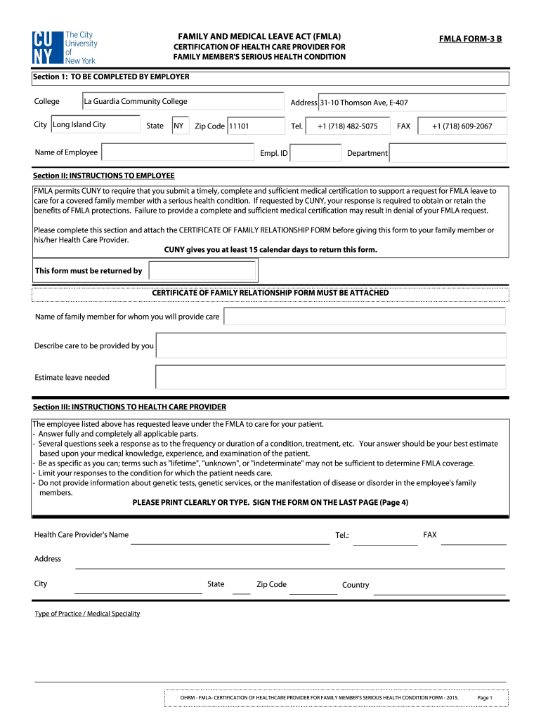 FMLA FORM 3 B