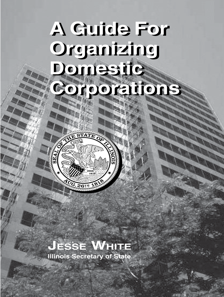  a Guide for Organizing Domestic Corporations in Illinois 2020-2024